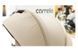 Коляска універсальна CARRELLO Omega CRL-6540/1 Asteroid Beige (2in1) Нем6249 фото 4