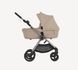 Anex IQ 00012 фото 1